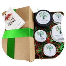 Lade das Bild in den Galerie-Viewer, Skin Care Starter Set - Take Your First Steps Into Natural Beauty