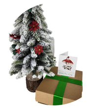 Load image into Gallery viewer, Essentials Wellness And Self Care Gift Box, 100% Natural, Vegan, Cruelty Free