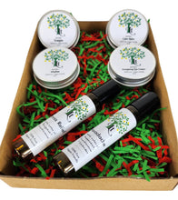 Load image into Gallery viewer, Essentials Wellness And Self Care Gift Box, 100% Natural, Vegan, Cruelty Free