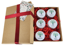 Lade das Bild in den Galerie-Viewer, Natural Skin Care Gift Set - Elevate Your Self Care And Wellness