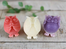 Load image into Gallery viewer, Enchanting Trio Of Charming Owl Hand Crafted Soaps, See No Evil, Hear No Evil, Speak No Evil
