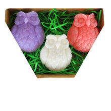 Carica l&#39;immagine nel visualizzatore della galleria,Enchanting Trio Of Charming Owl Hand Crafted Soaps Gift Set - 150g
