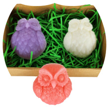 Chargez l&#39;image dans la visionneuse de la galerie,Enchanting Trio Of Charming Owl Hand Crafted Soaps Gift Set - 150g
