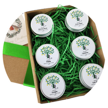 Load image into Gallery viewer, Wellness Gift set, Self Care, Relieve Stress, Revitalise, 100% Natural, Vegan

