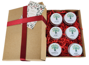 Natural Skin Care Gift Set - Elevate Your Self Care And Wellness