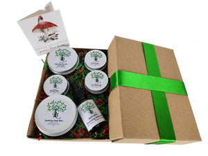 Winter Essentials Gift Box - Embrace The Cold Season With Our Winter Wellness Companion.